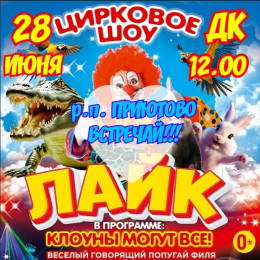 Цирк «Лайк»
