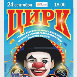 ЦИРК «СЧАСТЛИВЫЕ ЛЮДИ»